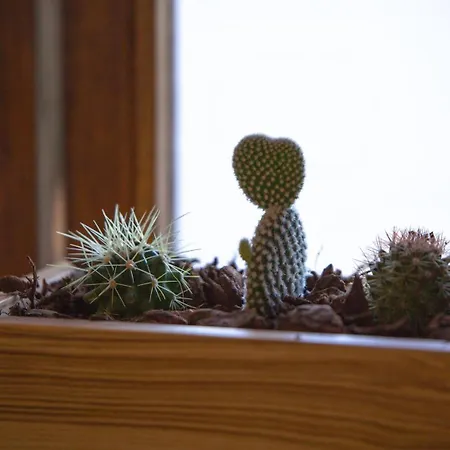 Διαμέρισμα Guestready - Catorze De Outubro 417 *