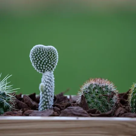 Guestready - Catorze De Outubro 417 *