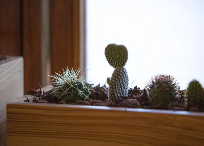 Apartman Guestready - Catorze De Outubro 417 *