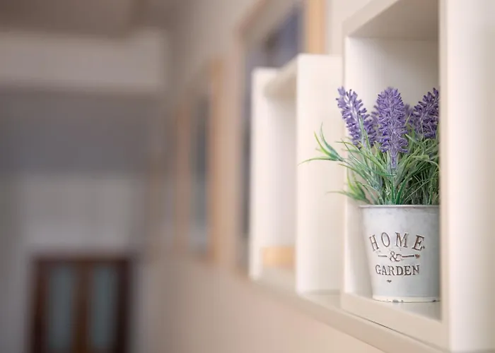 Apartman Guestready - Catorze De Outubro 417 *