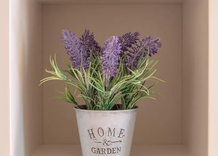 Apartman Guestready - Catorze De Outubro 417 Vila Nova de Gaia